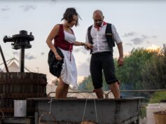 Tutto pronto per la 37ª Sagra della Vendemmia a Pedalino