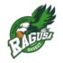 Prima uscita in amichevole per la Passalacqua Ragusa Basket