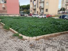 Un progetto di riqualificazione del verde urbano, a Vittoria, sarà finanziato dalla Regione