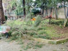 Verde Pubblico: piano di riqualificazione per ville e parchi cittadini
