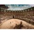 Per la questione “volontari” retribuiti, spettacolo per l’arena politica o da Repubblica delle Banane?