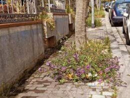 Una cittadina invita gli amministratori a guardare oltre, prima di passare la cera sulla ciclabile a mare o di autoproclamarsi esperti di tumazzo