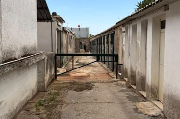 Cittadella dello Sport, Rossana Caruso: “Sul maneggio servono chiarezza e un progetto complessivo, non solo nuovi box”