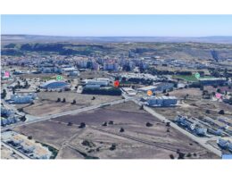Un grande polo per sport, università e socializzazione: al via il concorso di progettazione per la nuova “Cittadella dello Sport” nel quartiere Selvaggio