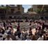 Sagra della Vendemmia 2026, Pedalino ha celebrato tradizione e identità. Grande successo di pubblico per la 38ª edizione